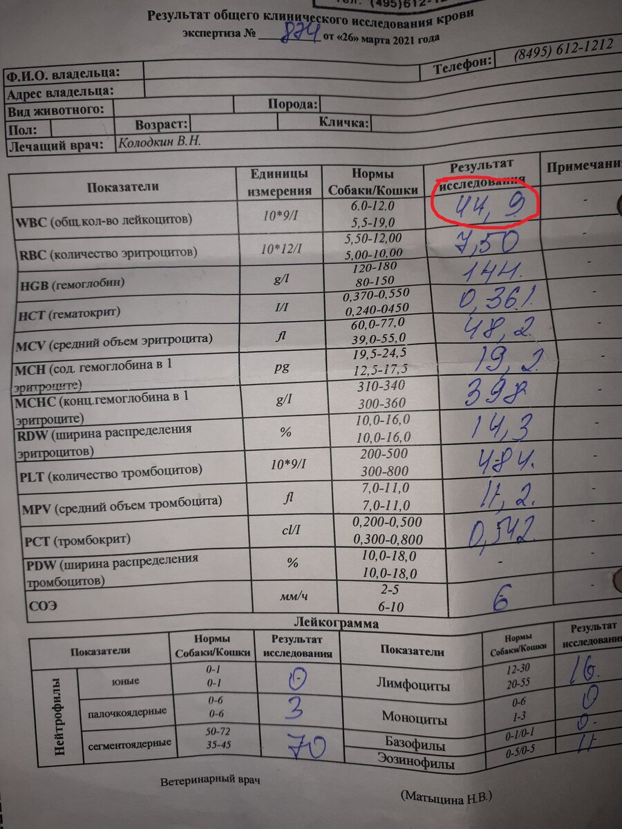 Результаты анализов
