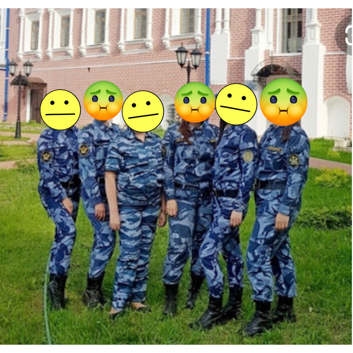 Лицо курсантов, когда сказали красить траву)))