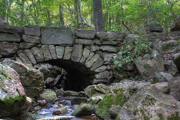 Изображение с просторов Pinterest 