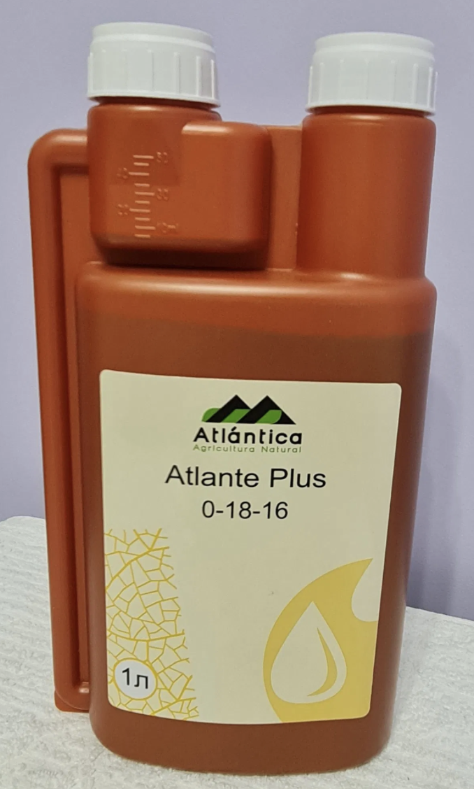 Фото взято из открытых источников для иллюстрации