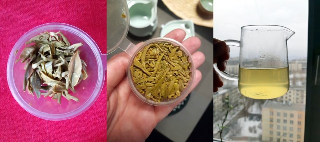 Замороженный сочинский чай. Фотографии Алиссии Дайнеко