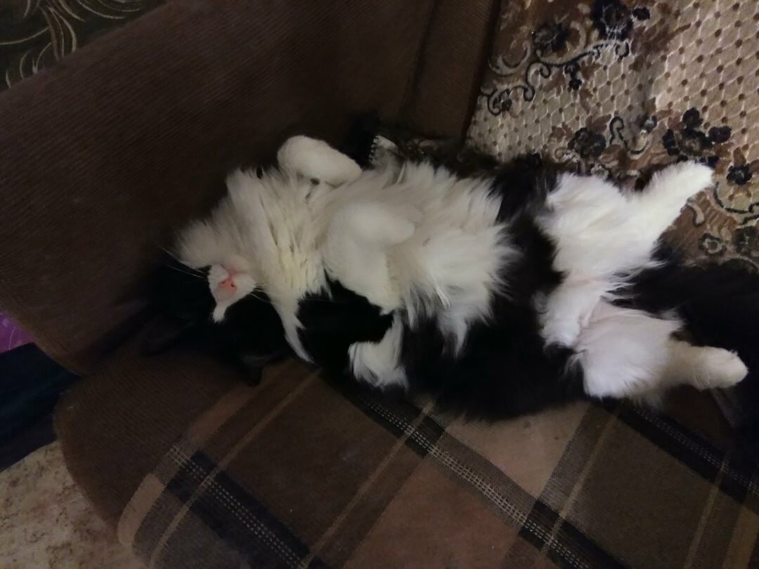 А тут пусть будет Кузьма)