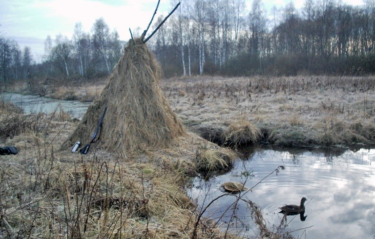 Шалаш из жердей и лапника