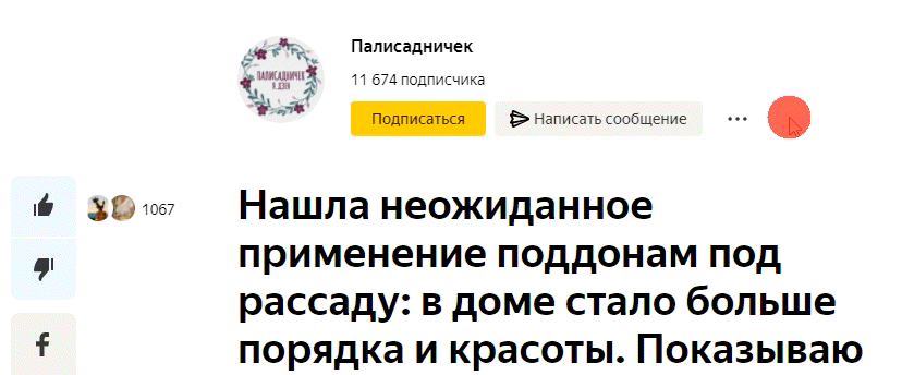 Ставьте "палец вверх", если статья была интересной! И обязательно подписывайтесь на мой канал "Палисадничек" на Яндекс.Дзен.