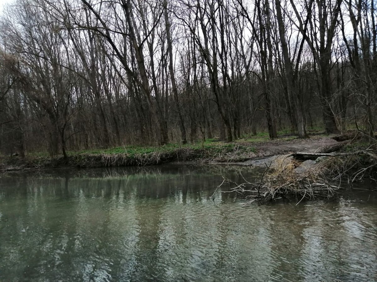 Фото Марины Красновой