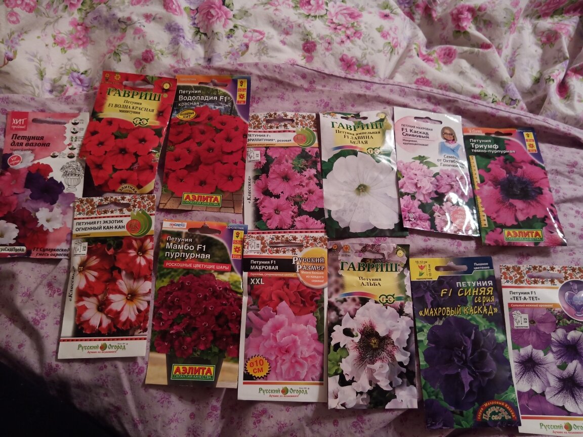 Мои любимые сорта Петунии