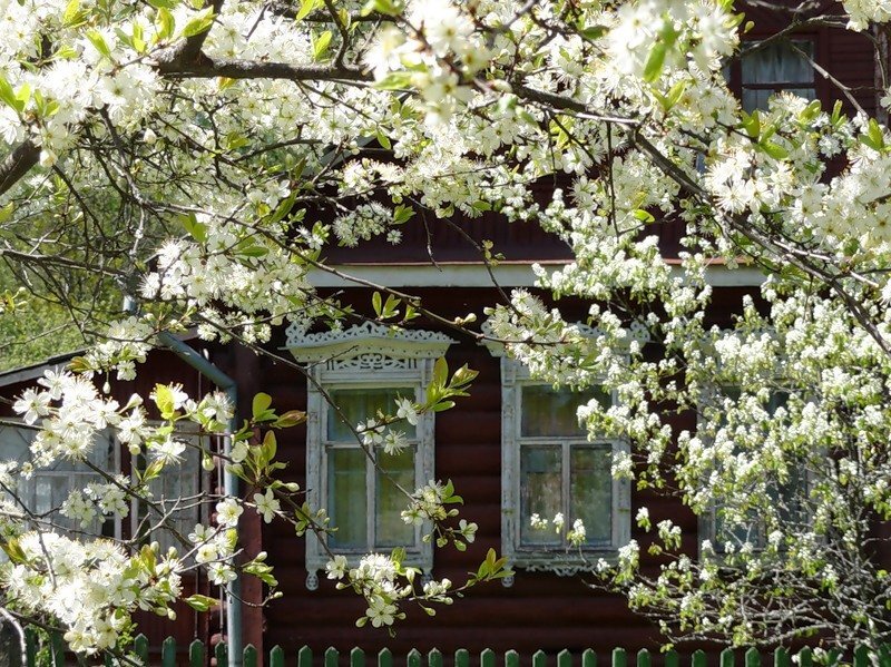 яндекс картинки