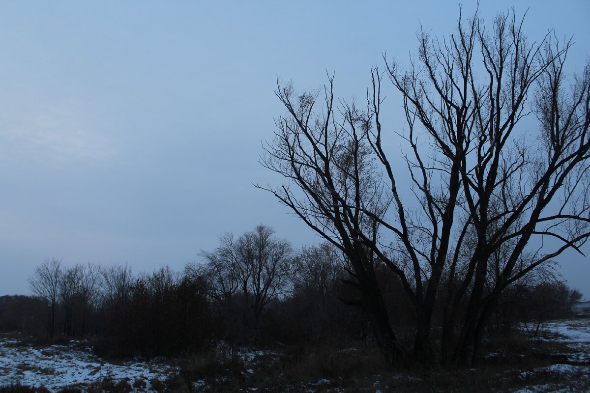 Фотографии из моего личного архива. Не хотелось вставлять сюда заезженные фотографии центра города.