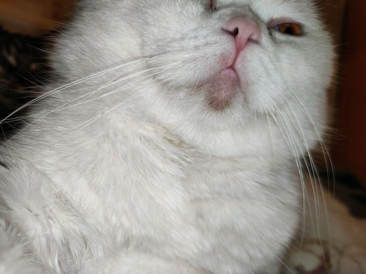 Спустя 2-3 недели.