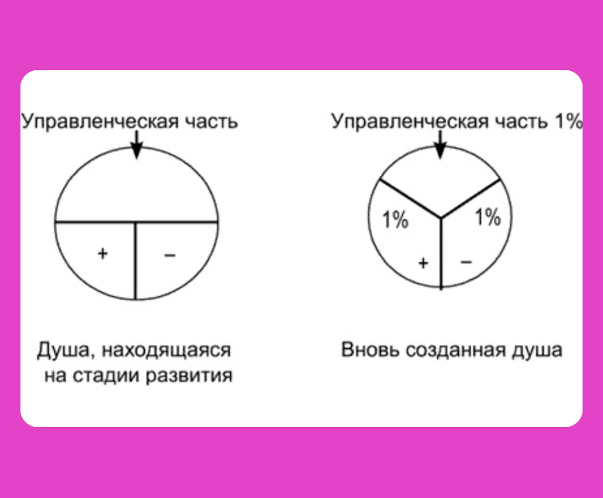 Схематическое строение души выглядит таким образом. 