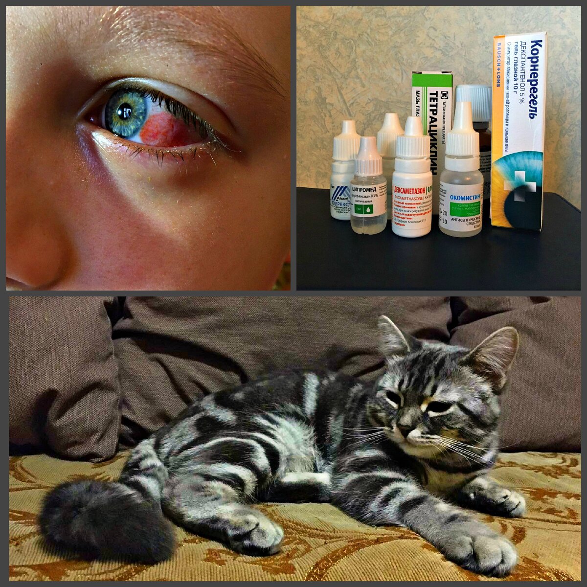 Коллаж событий.