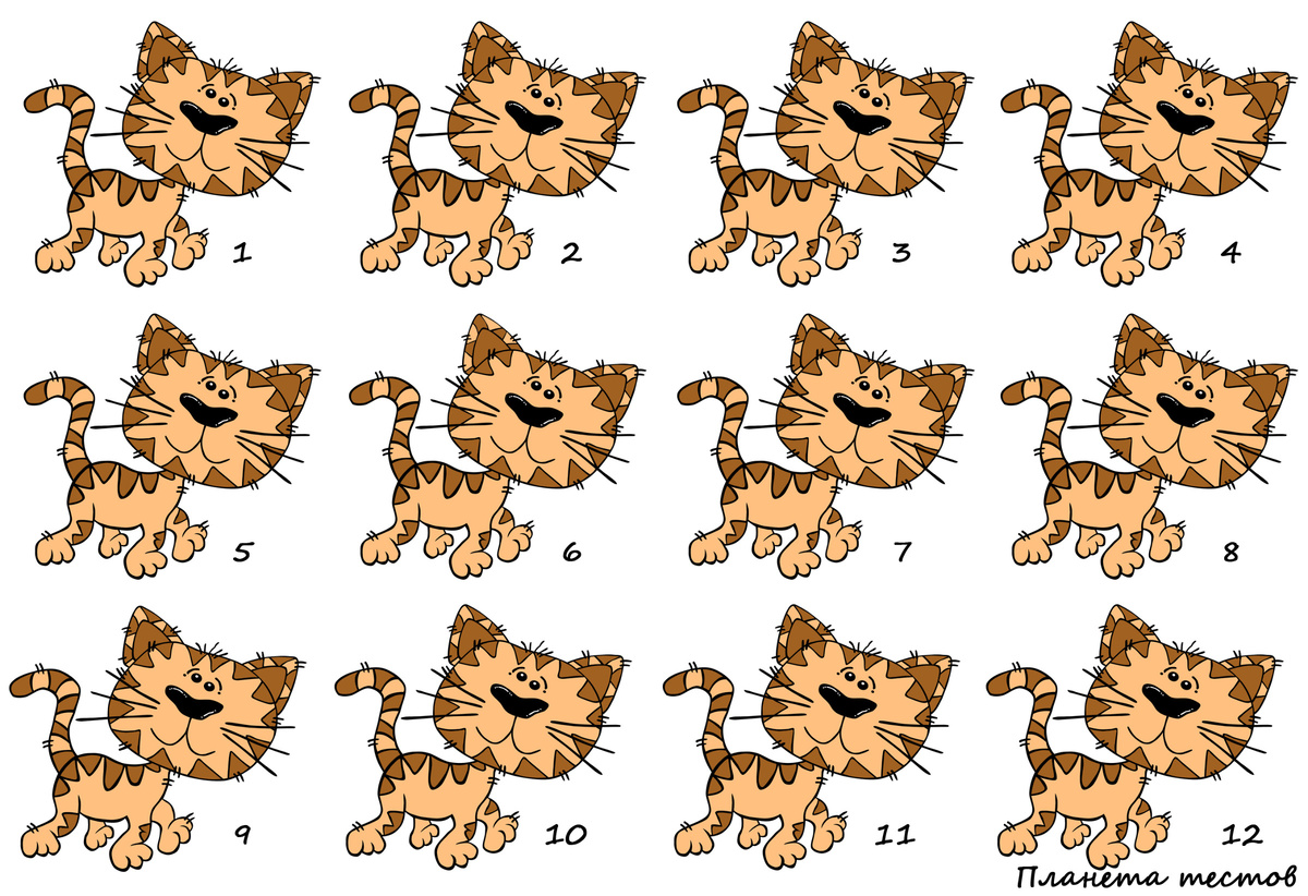 Чтобы увеличить картинку, нажмите на неё. 