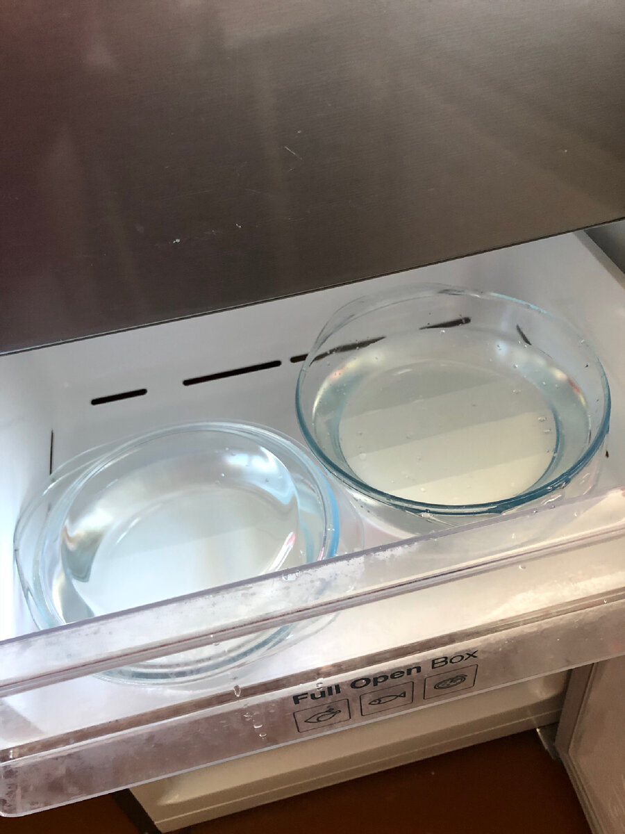 налейте воды из под крана в чаши и оставьте примерно 2 часа для первого замораживания