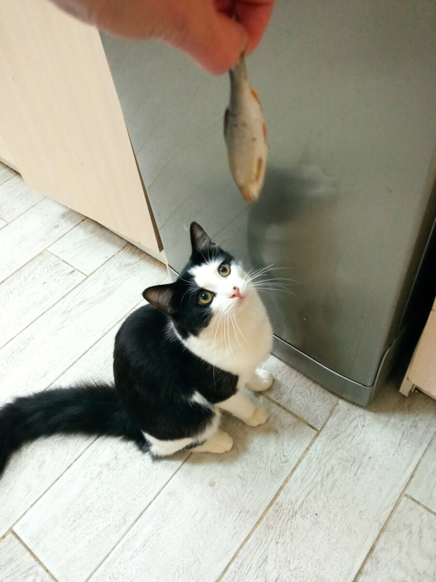 Фото автора.