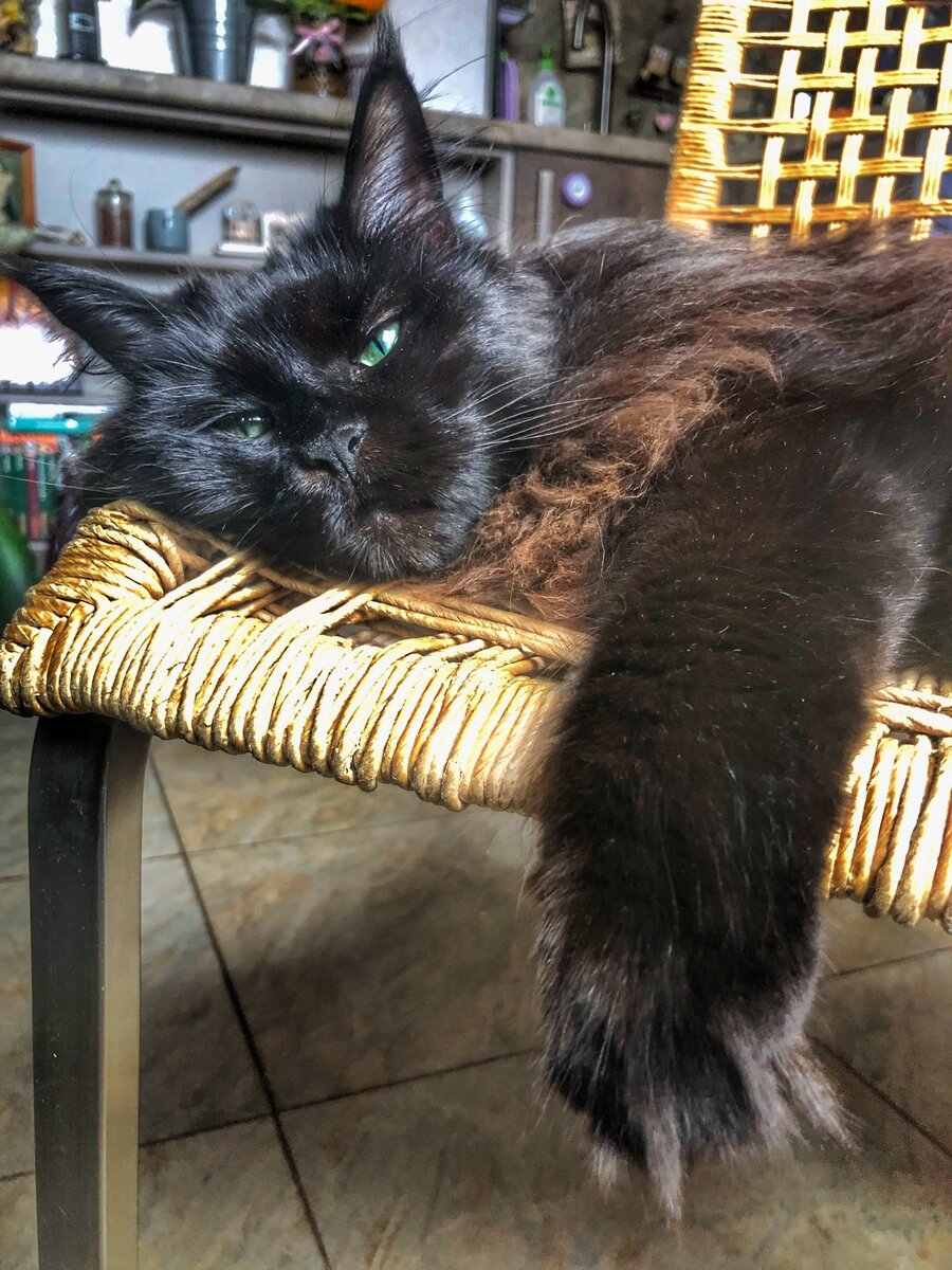 так выглядит "все тлен".