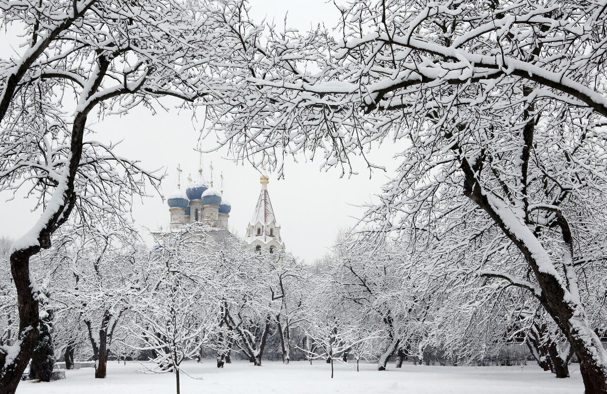 Москва зимой отзывы