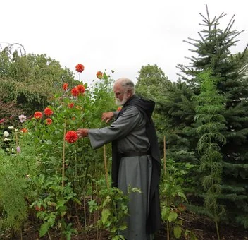 картинка с сайта pixabay.com  