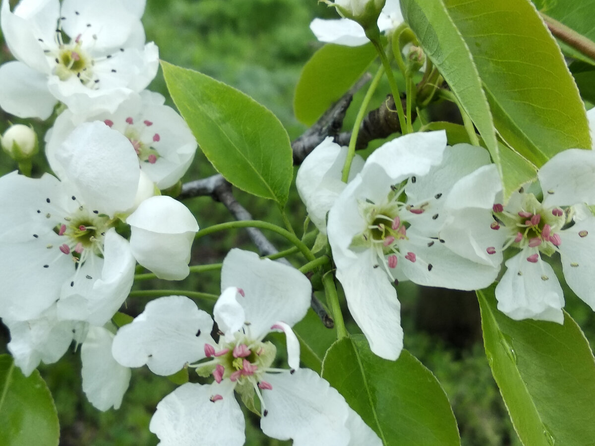 Фото автора канала