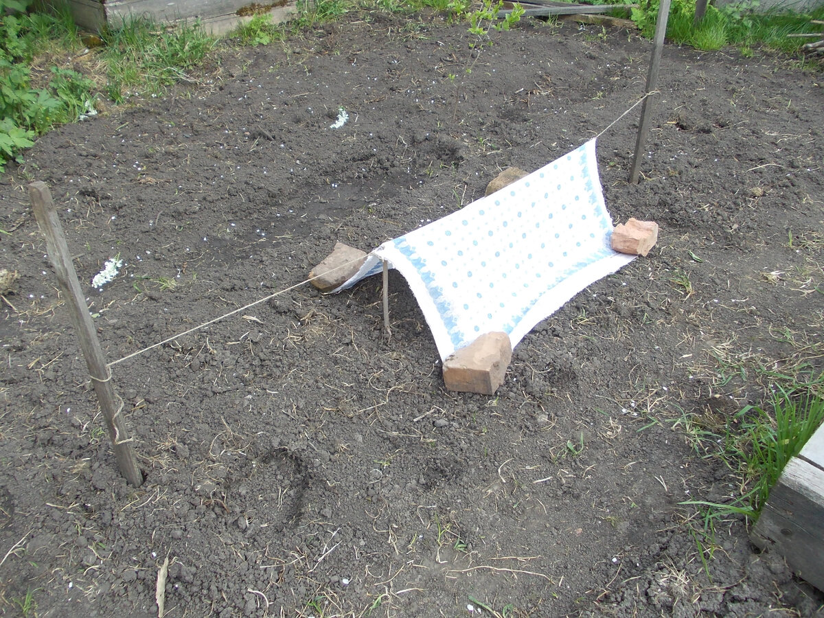 1. Фото автора.