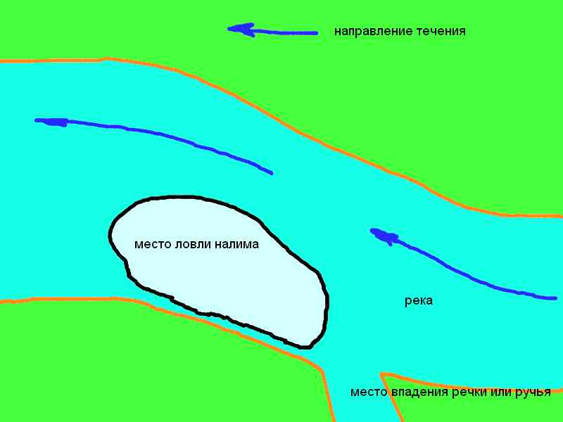 Где ловить на речке. Места ловли налима. Места ловли налима зимой на реке. Места ловли налима на реке. Места обитания налима.