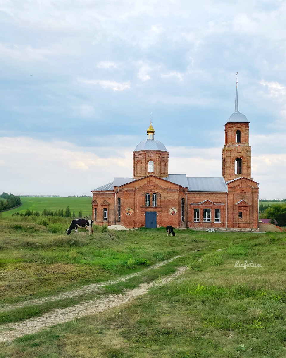 Личное фото автора