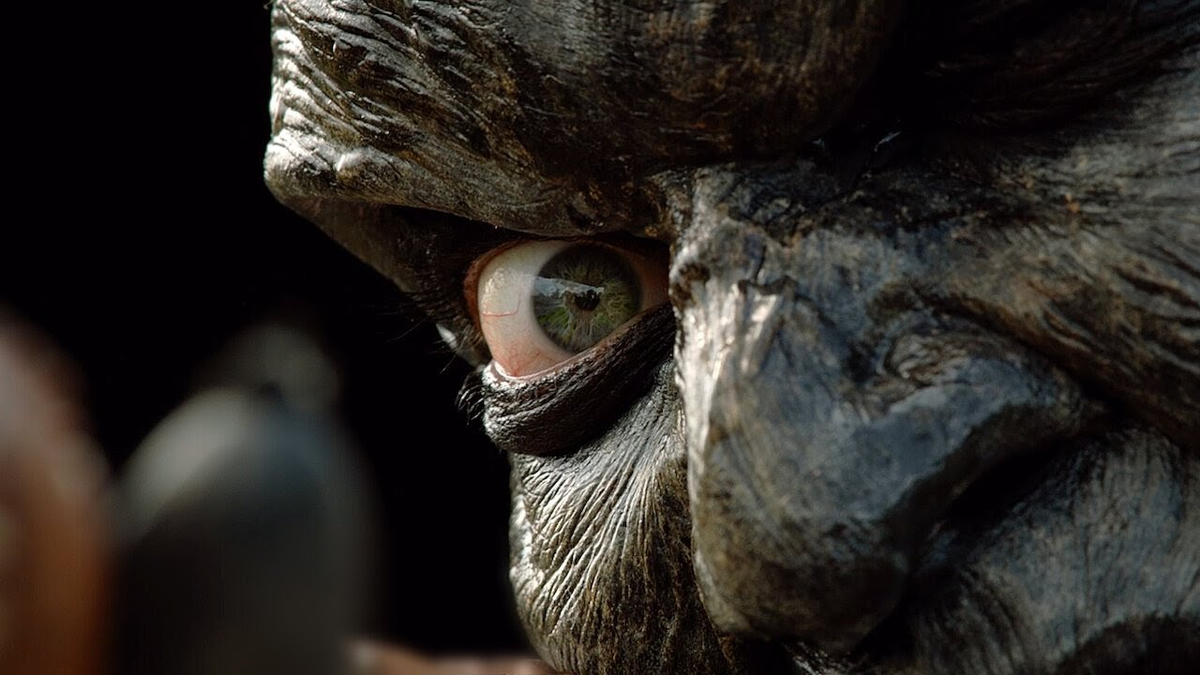 кадр из фильма "Джиперс Криперс 3".