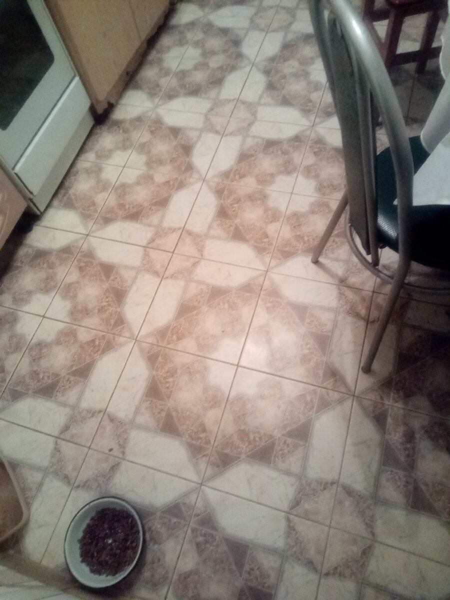 Пол кухни в моей квартире. Падать было больно.