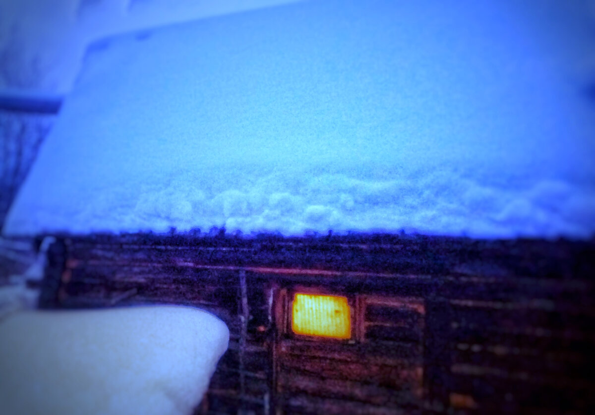 Так выглядит "НаноФерма" ноябрьским вечером