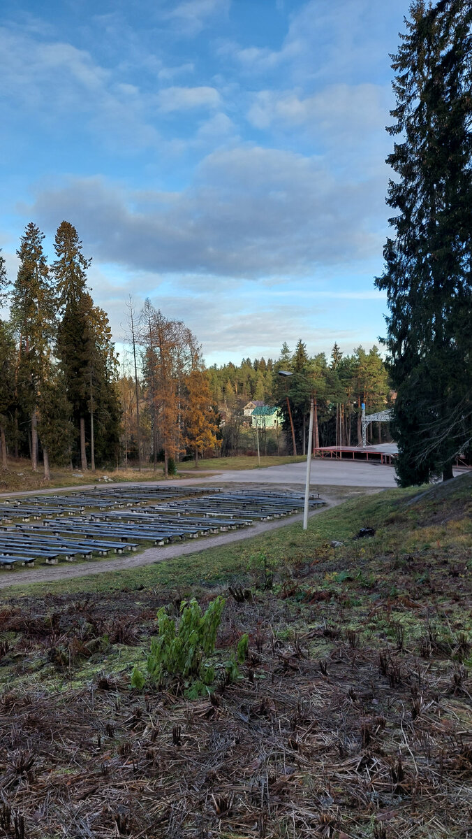 Певческое поле