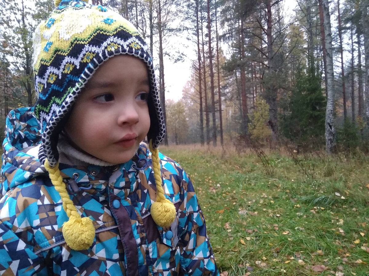 Лука в подпитерских лесах