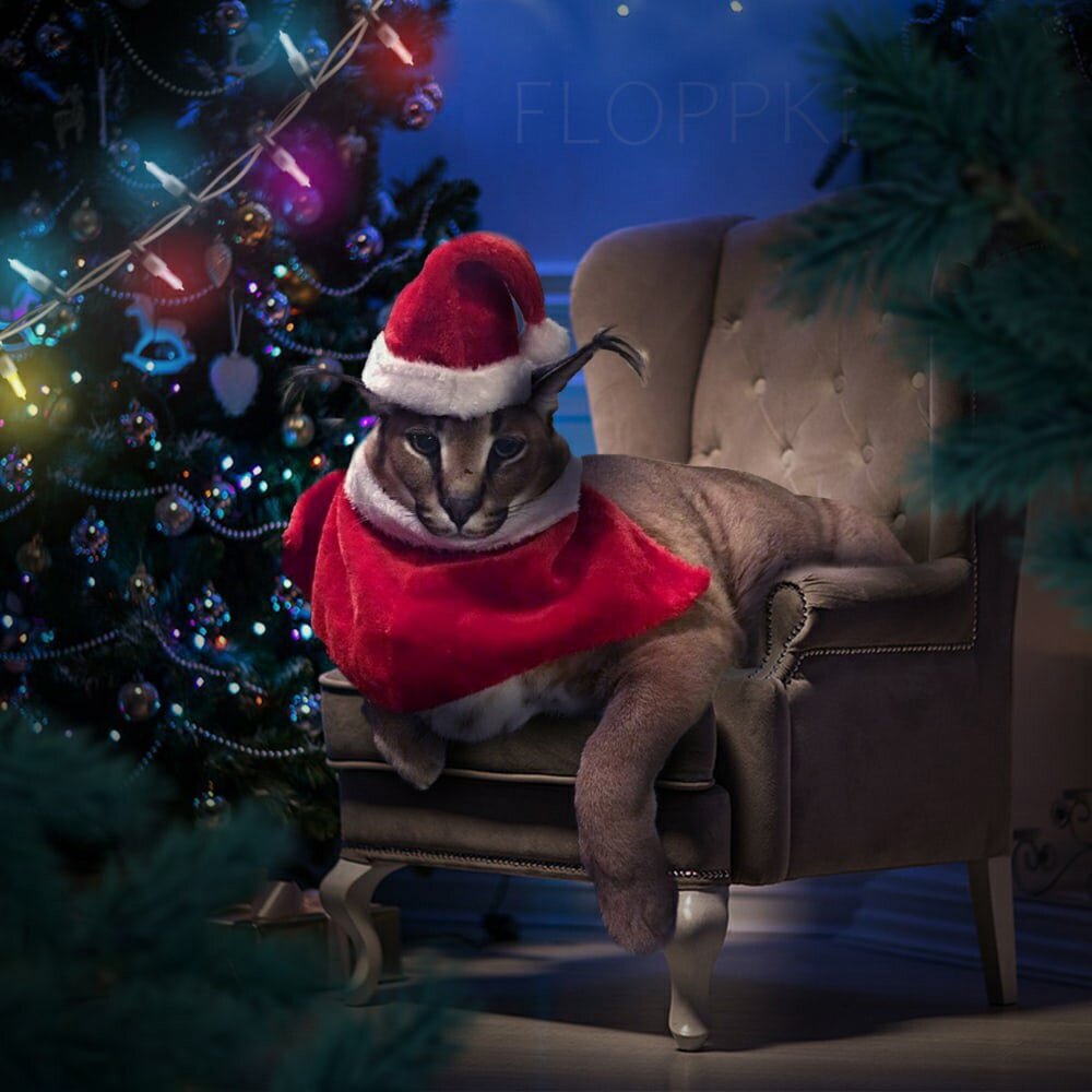 Новогодний шлёпа