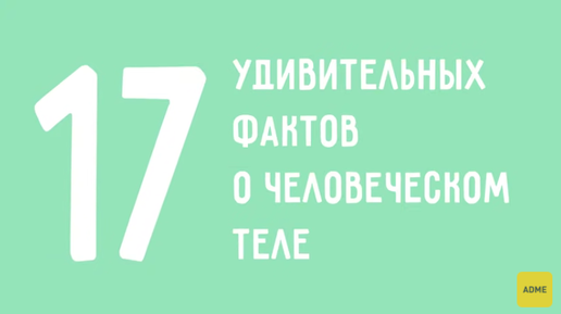 17 фактов