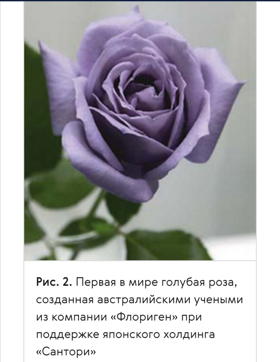 Фото из открытых источников. 