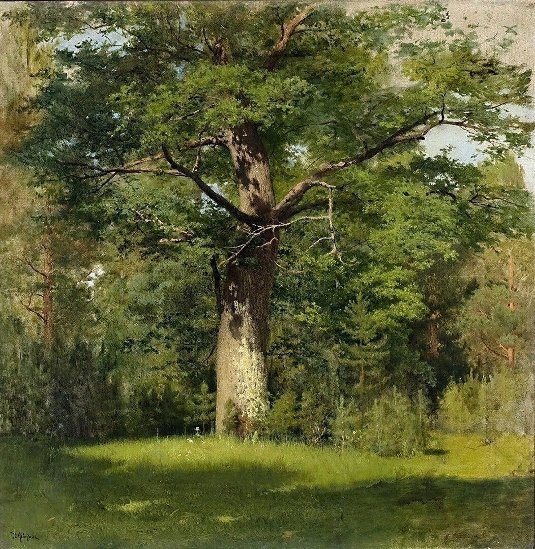 И. Левитан "Дуб". 1880 год. Холст, масло. 57 x 57 см. Государственная Третьяковская галерея, Москва.