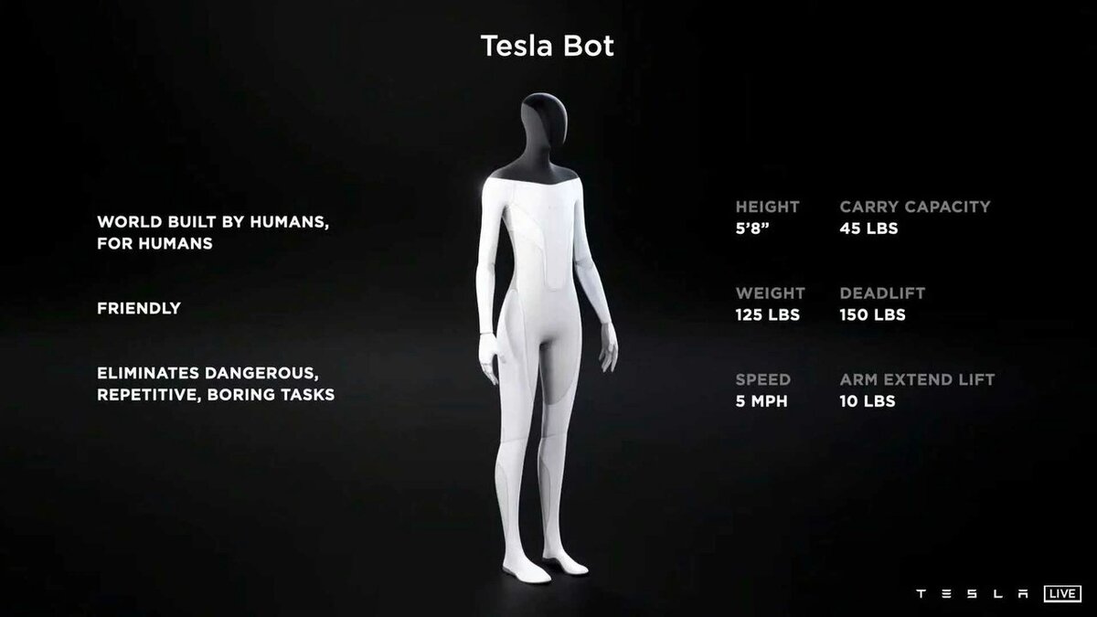 Tesla Bot(Optimus)