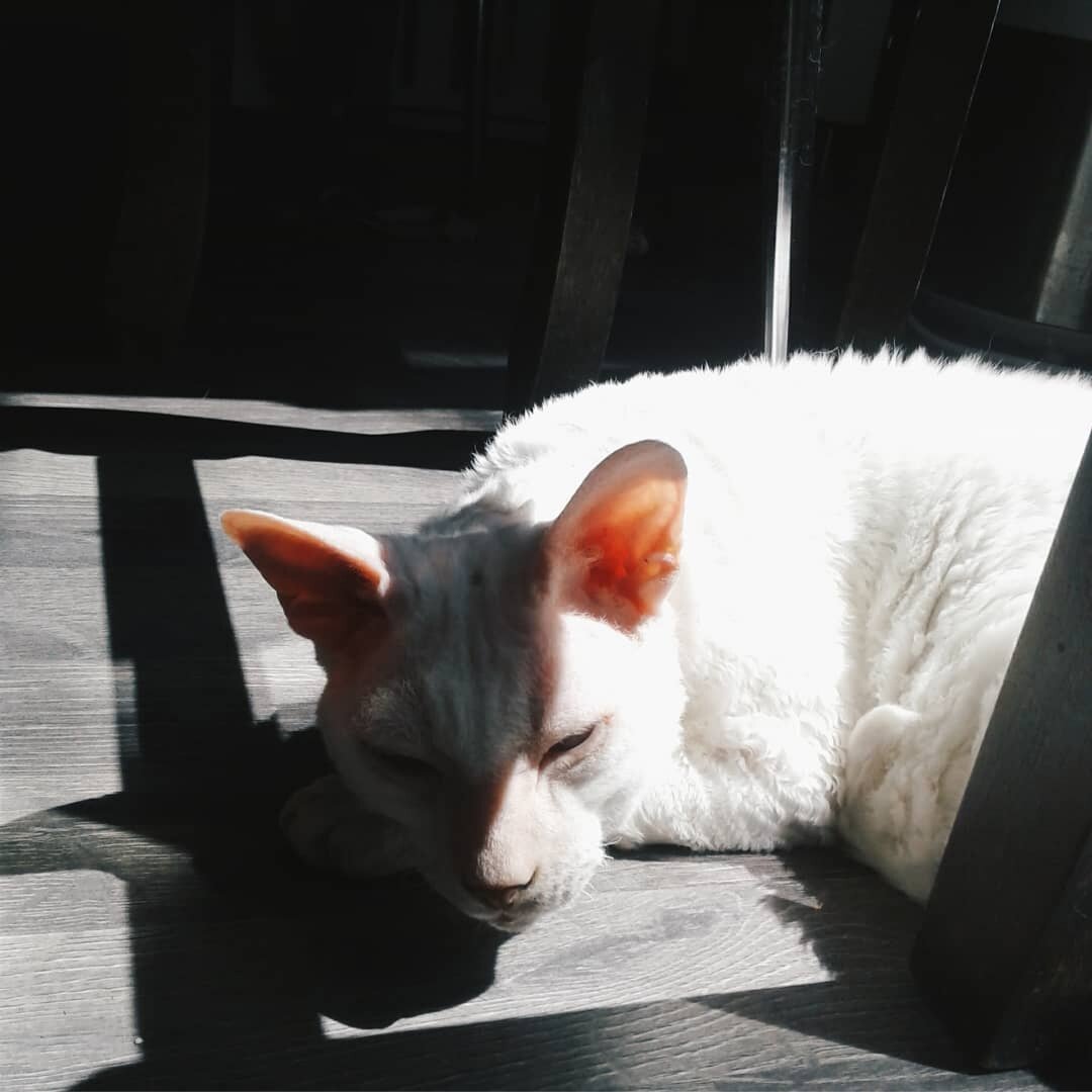 Первый фото Баранки у меня нет - слишком страшное было зрелище. По сути - как сейчас