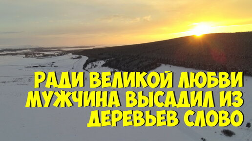 50 лет назад, ради великой любви мужчина высадил из деревьев слово