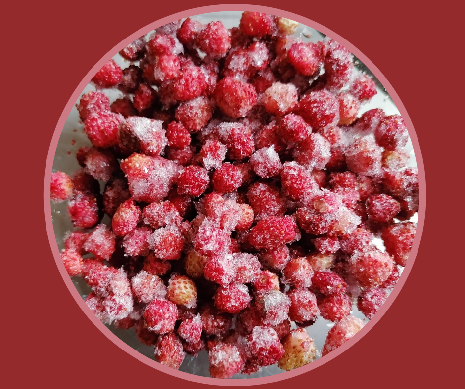 Свежезамороженная земляника (100 г, на 2 порции), вынутая из морозильной камеры для оттаивания. Фото автора