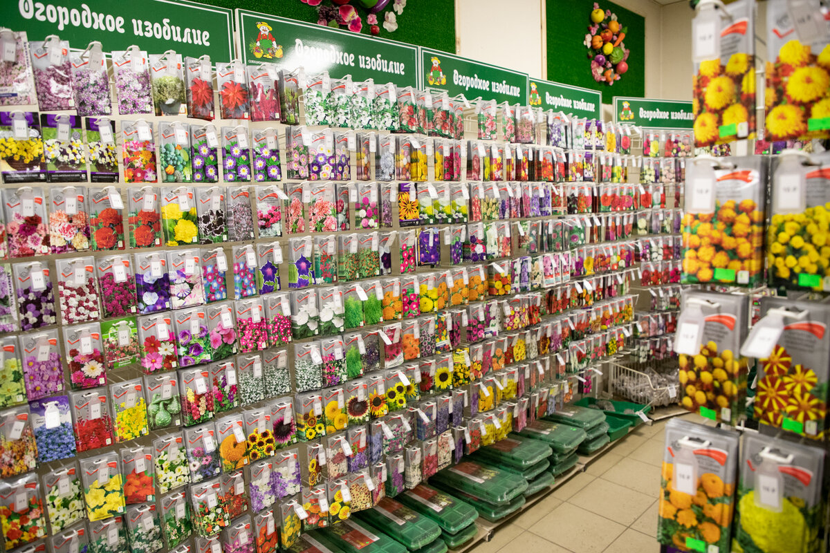 Фото: Тульская служба новостей