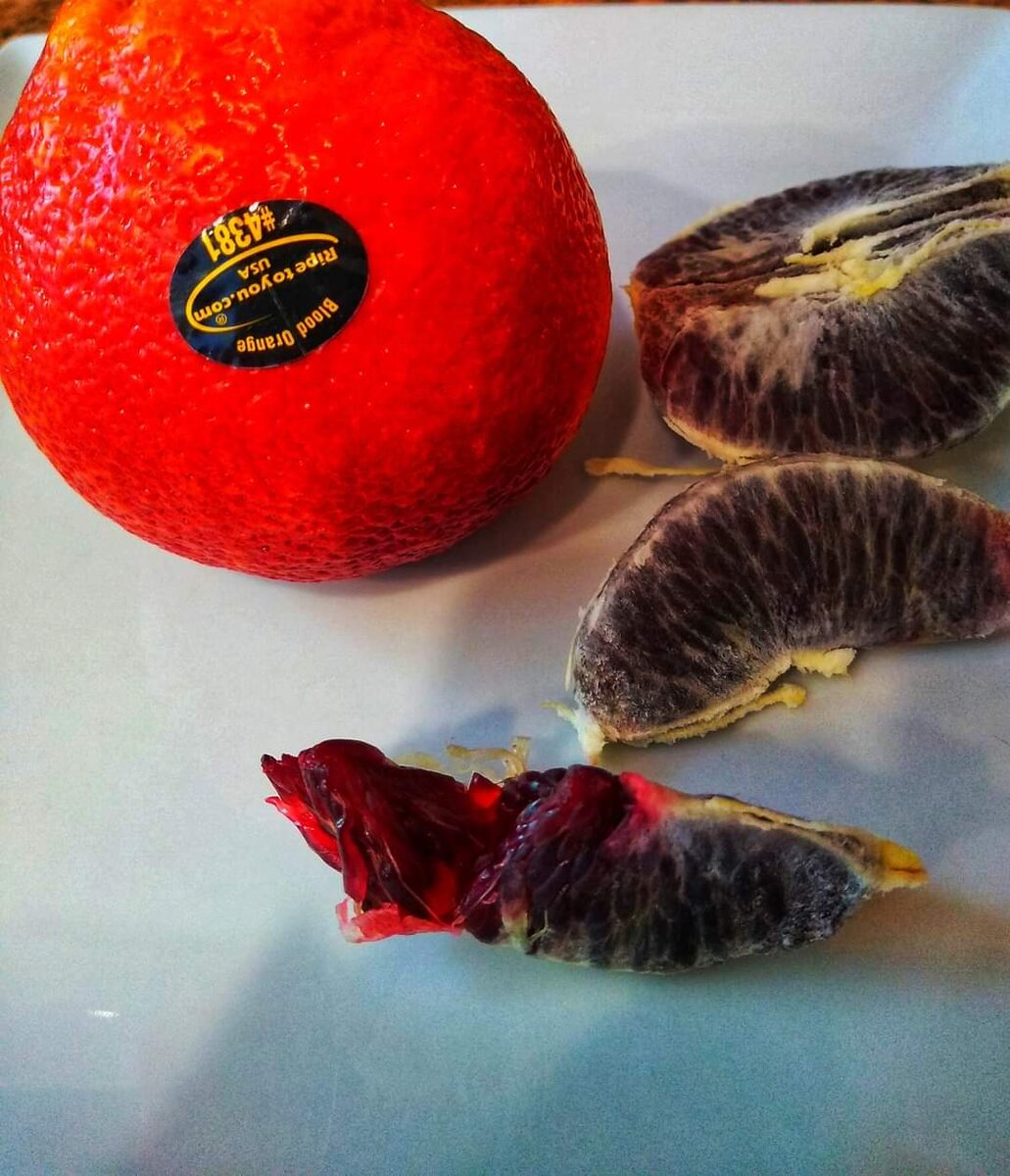 Фото из личного архива автора. 