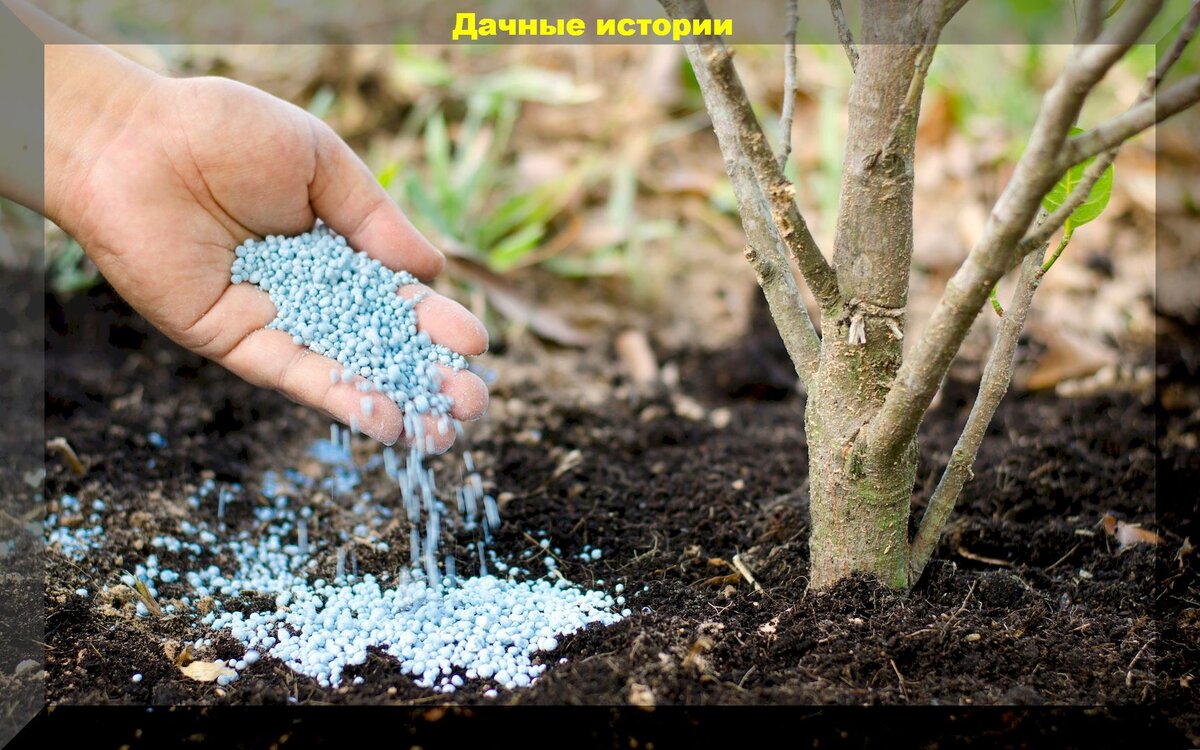https://vk.com/photo-159774511_457251894
