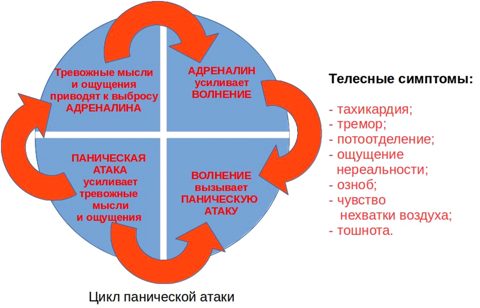 Панические атаки и сердце. Паническая атака симптомы. Механизм панической атаки. Причины возникновения паники. Паническая атака причины.