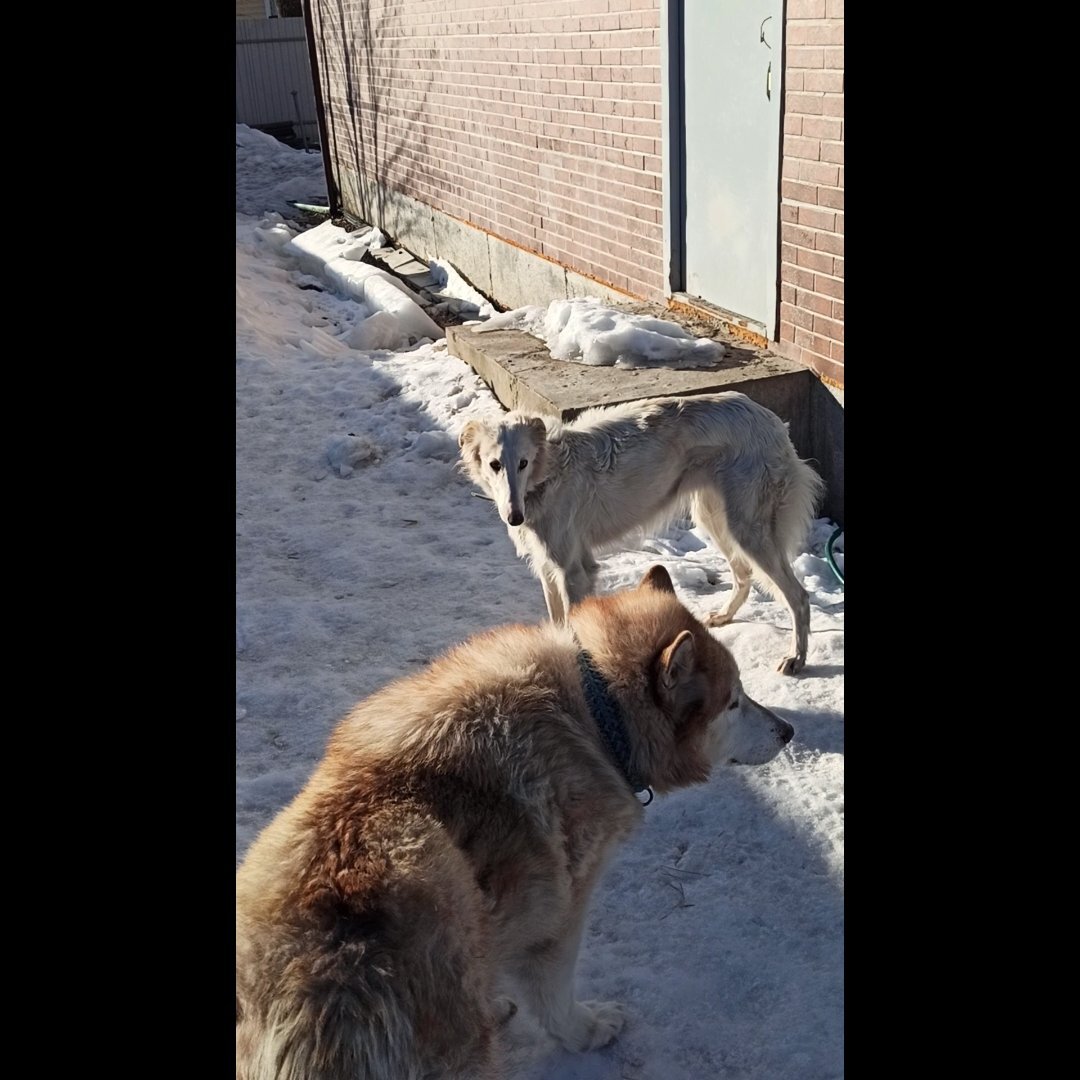 Максимально близкое расстояние