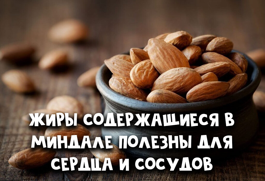 Чем полезен миндаль и сколько его можно съесть в день | Calorizator.ru |  Дзен