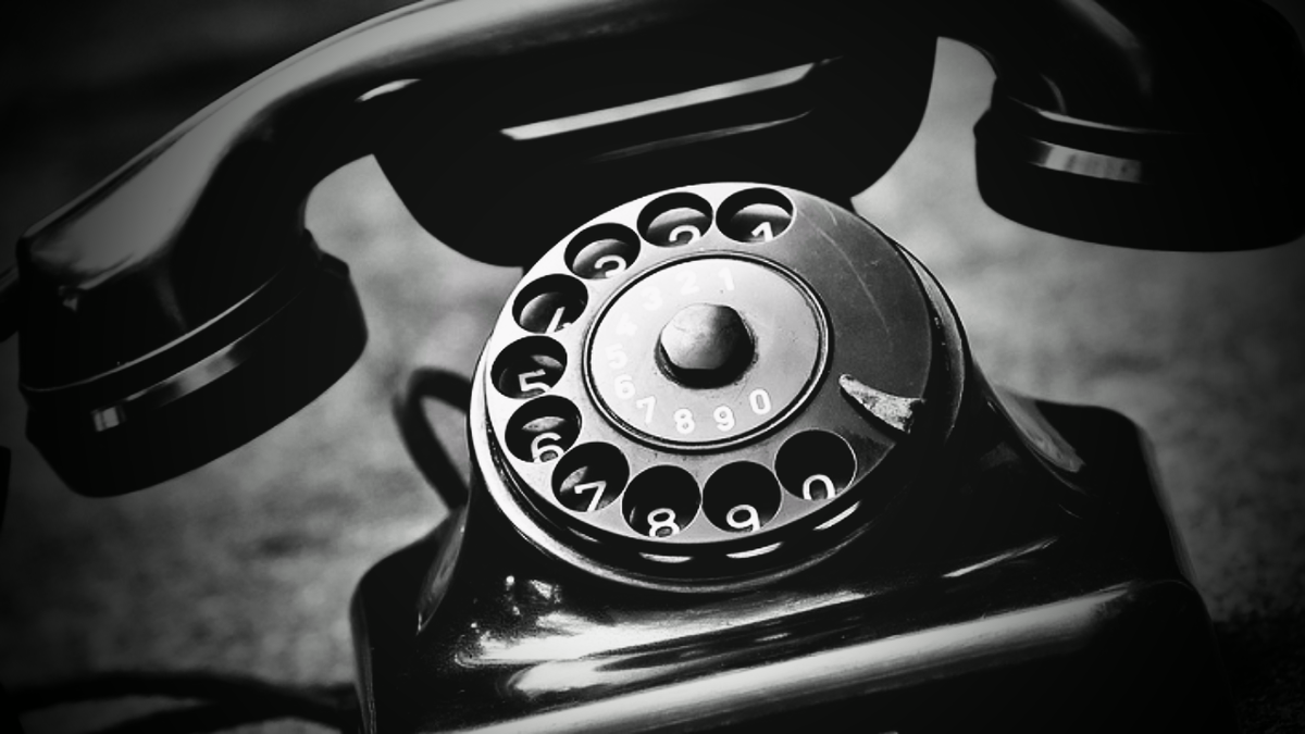 Фото из открытых источников интернета.