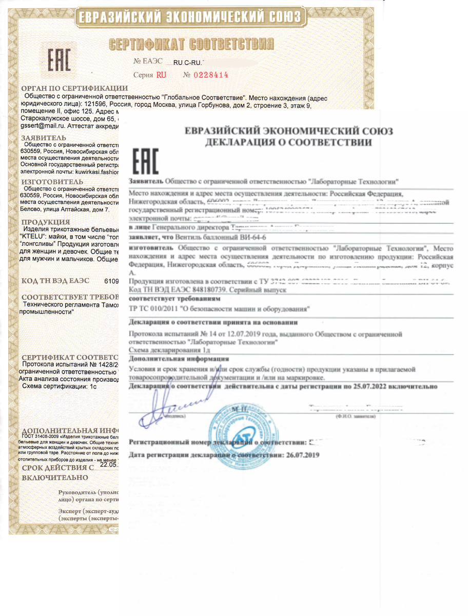 Фото документов, оформленных в ООО "ГК Единый Стандарт"