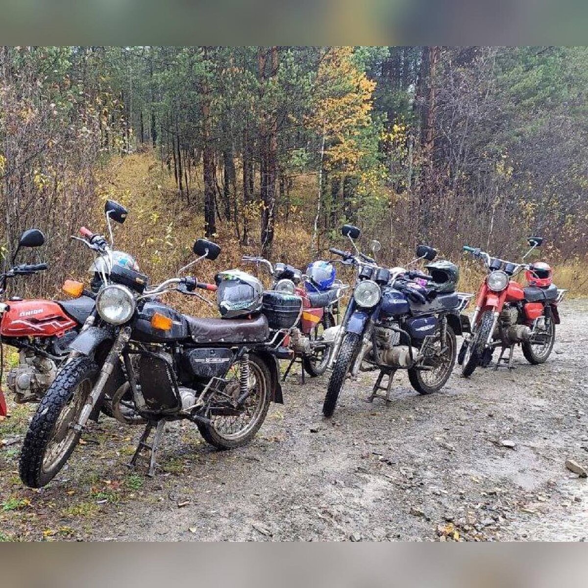 РњРѕС‚РѕС†РёРєР» РёРј3 8 1239