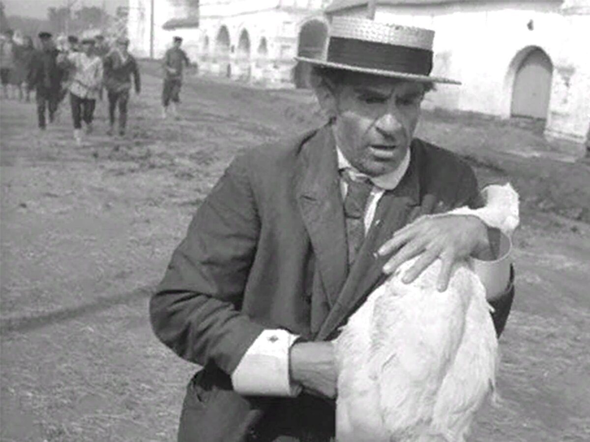 Фото взято из общего доступа сети Интернет.