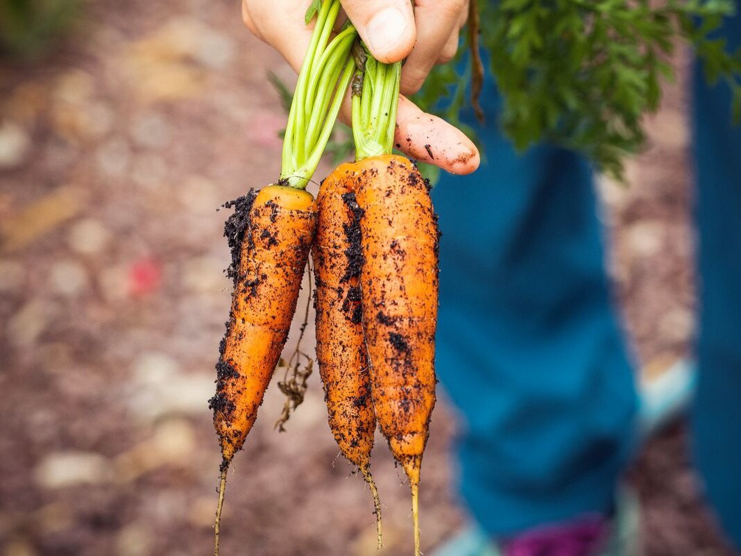 Фото: globallookpress.com