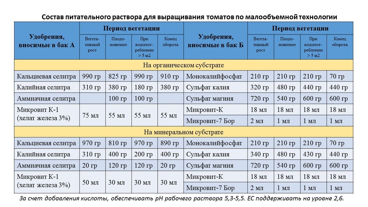 Питание томатов при малообъемном выращивании — это просто | Агро-информер  от ГК Грин Лайн | Дзен